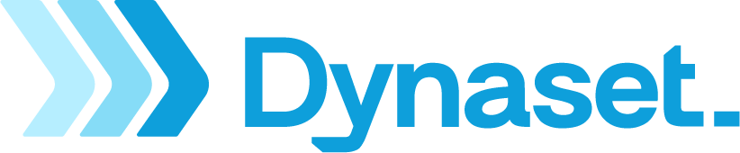 Dynaset