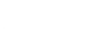 Logo Dynaset Software